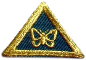 Любитель комах